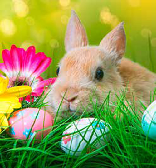 Organzasäckchen "Eier"