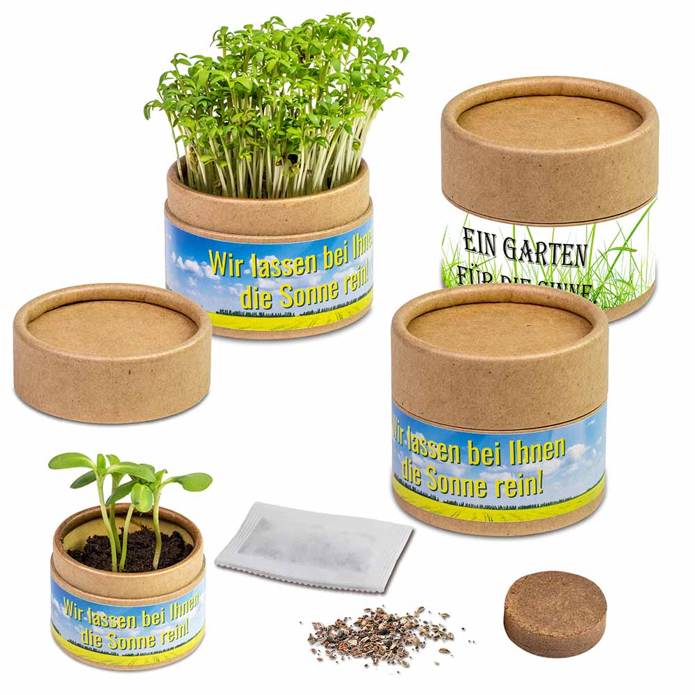Boite kraft avec graines