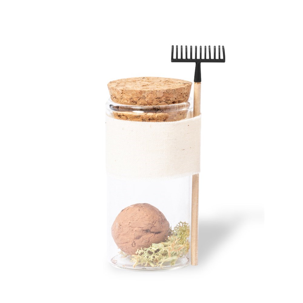 Bonbon-Samen Winsu - A