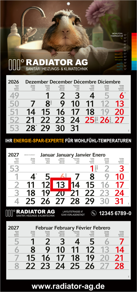 3-Monatskalender Mehrblock Profil 3 Schrift leicht