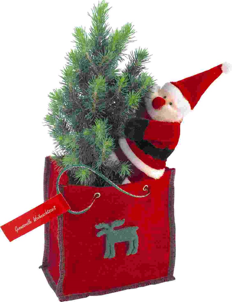 Bäumchen im Filztäschchen 20-30 cm, inkl. Digitaldruck 1-4/0 c