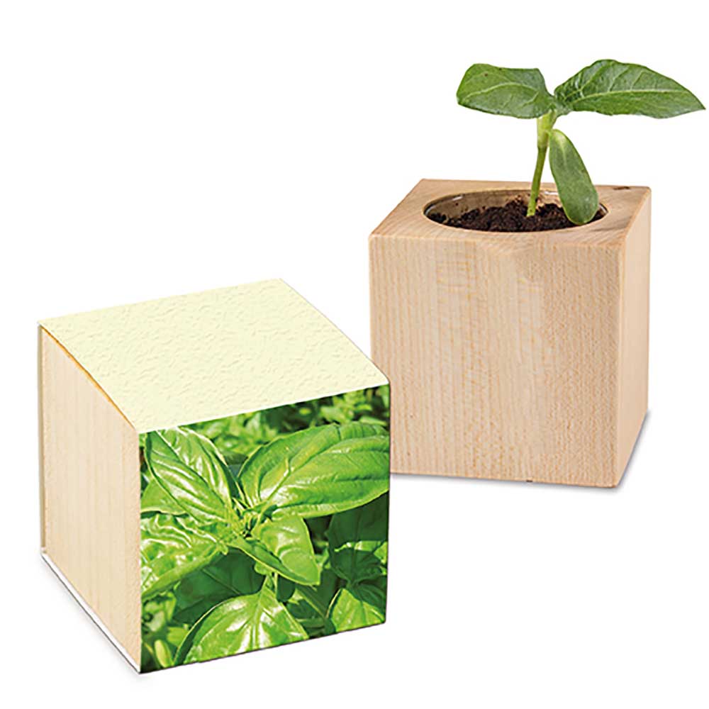 Bois végétal avec graines (bande de papier à base de papier d'herbe) - Basilic