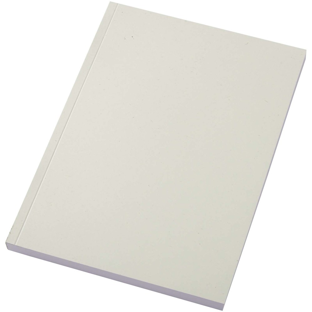 Scribe A5 recyceltes Sofcover Notizbuch