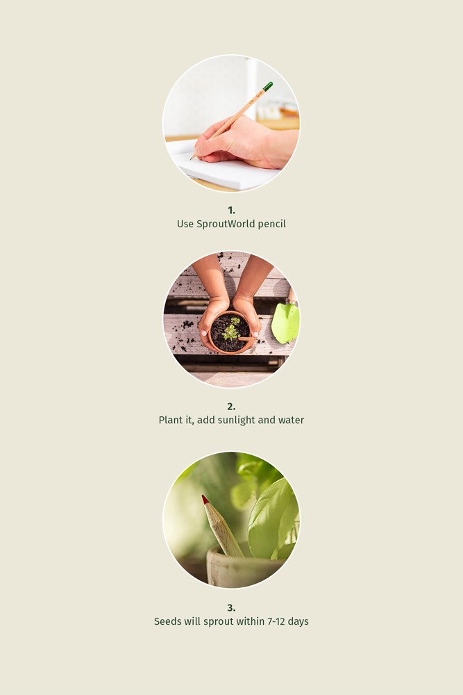 Sproutworld Set: Sharpened Pencil & Header Card angespitzte Bleistift