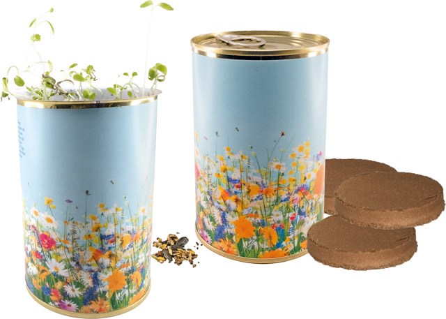 Bienenfutter