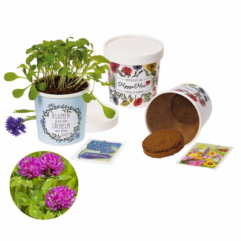 Becher Blümchen - Samenset - Wiesenklee