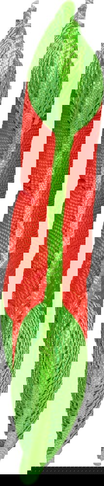 Hundespielzeug Flying Triple, orange/grün, S